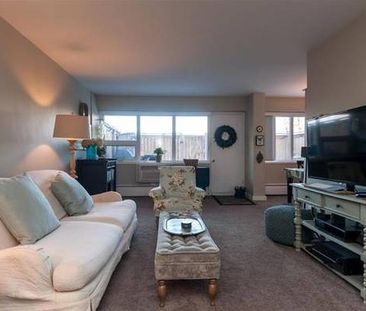 2 bedroom condo - available for rent October 1, 2024 - Photo 1