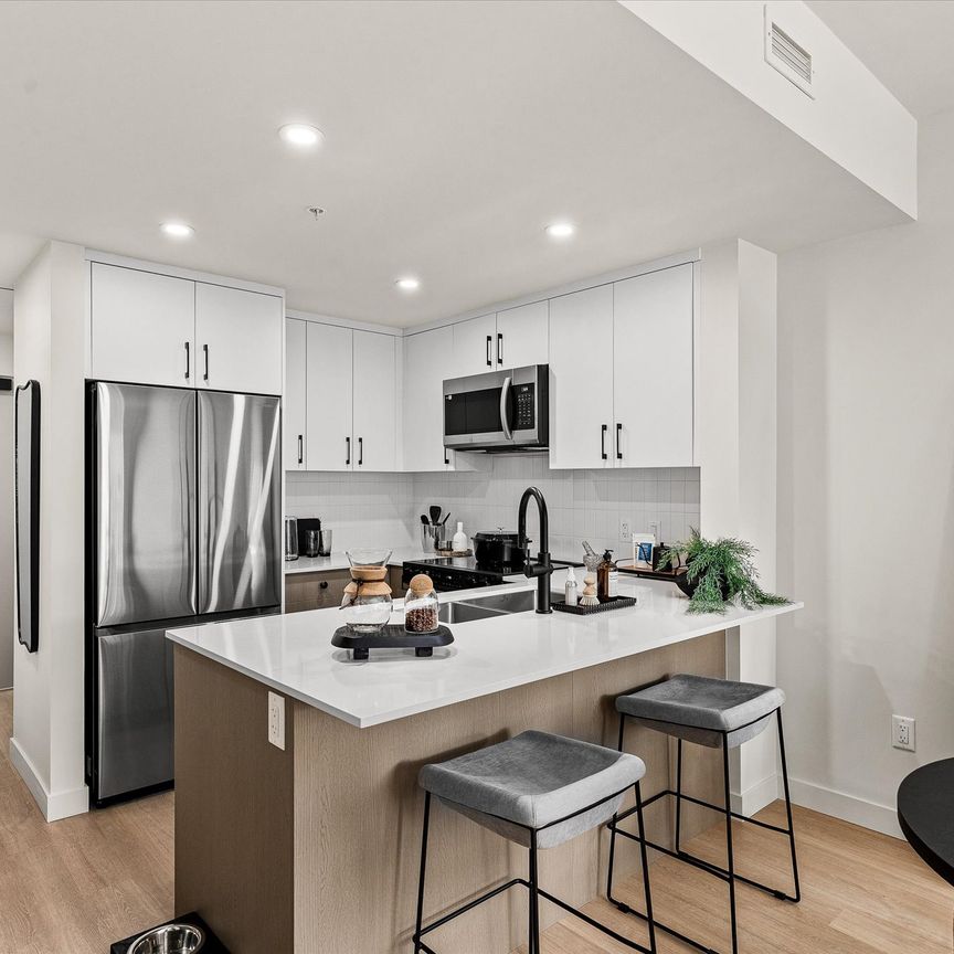 Stylish Kovo Apartments for Rent – 1 Bed |1 Bath - Photo 1