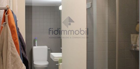 LARGE 2.5 BEDROOM IN CITY CENTER - Photo 2