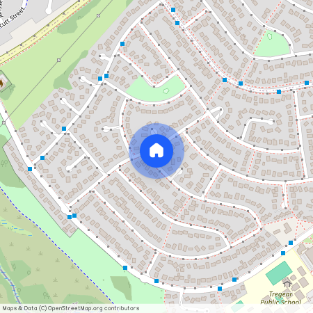 19 Mawson Road, NSW 2770, Tregear