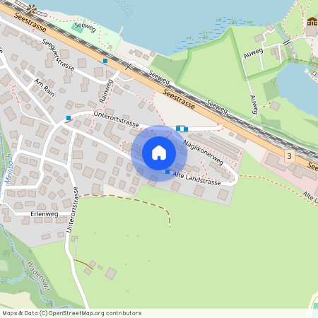 Alte Landstrasse 100, Alte Landstrasse 100, Wädenswil