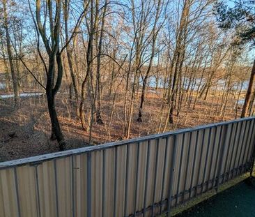 Wohnen auf Zeit am Dutzendteich bis Ende Juni 2027!! 2 Zimmer ab so... - Foto 5