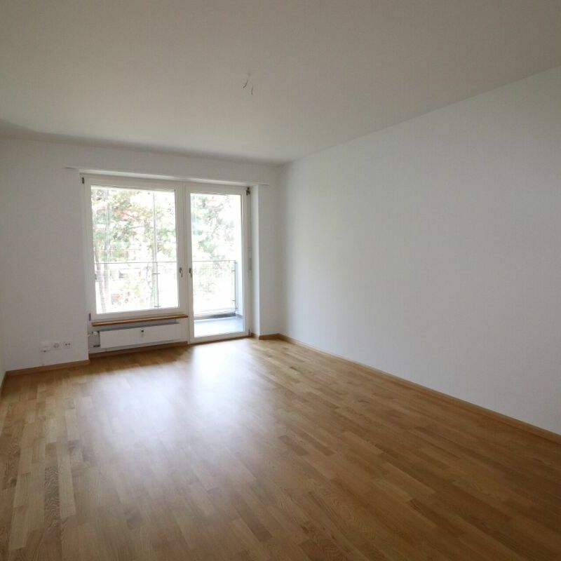 Zwischen Novartis Campus und Kannenfeldpark - moderne 3-Zimmerwohnung in Basel zu vermieten - Photo 1