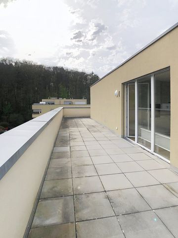 SEHR SCHÖNE ATTIKA 3,5 Zi.-WOHNUNG / MAGNIFICENT 3.5-ROOM ATTIC - Photo 3