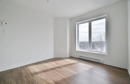 235-245 Cuvillier Street — 1 bedroom - Photo 5