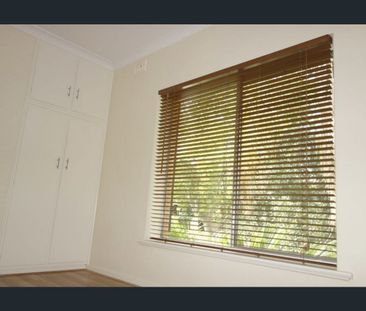 Leafy “Avenues” Living – Modern Comfort Near the City - Photo 4