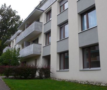 Charmante Wohnung im Grünen - Photo 1