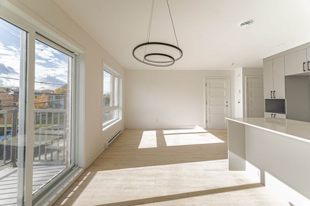 Appartement - 04-2589 Rue De Lorimier - Photo 1