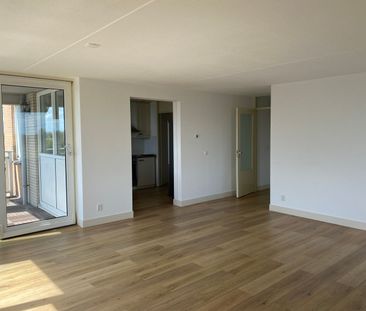 Hermelijnvlinder 49, Vlindertuin, 1113LC, Diemen - Foto 1