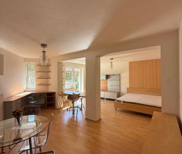 Pronájem bytu 1+kk 55 m2 - Fotografie 4