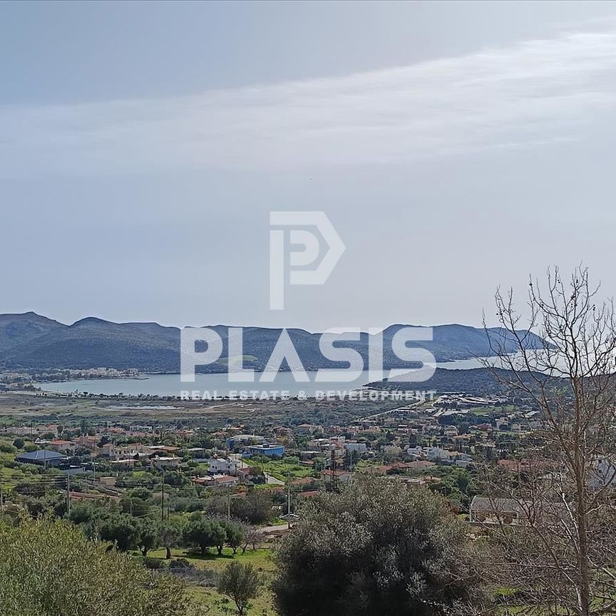 Μονοκατοικία για ενοικίαση Πανόραμα Σαρωνίδας (Σαρωνίδα) - Φωτογραφία 1