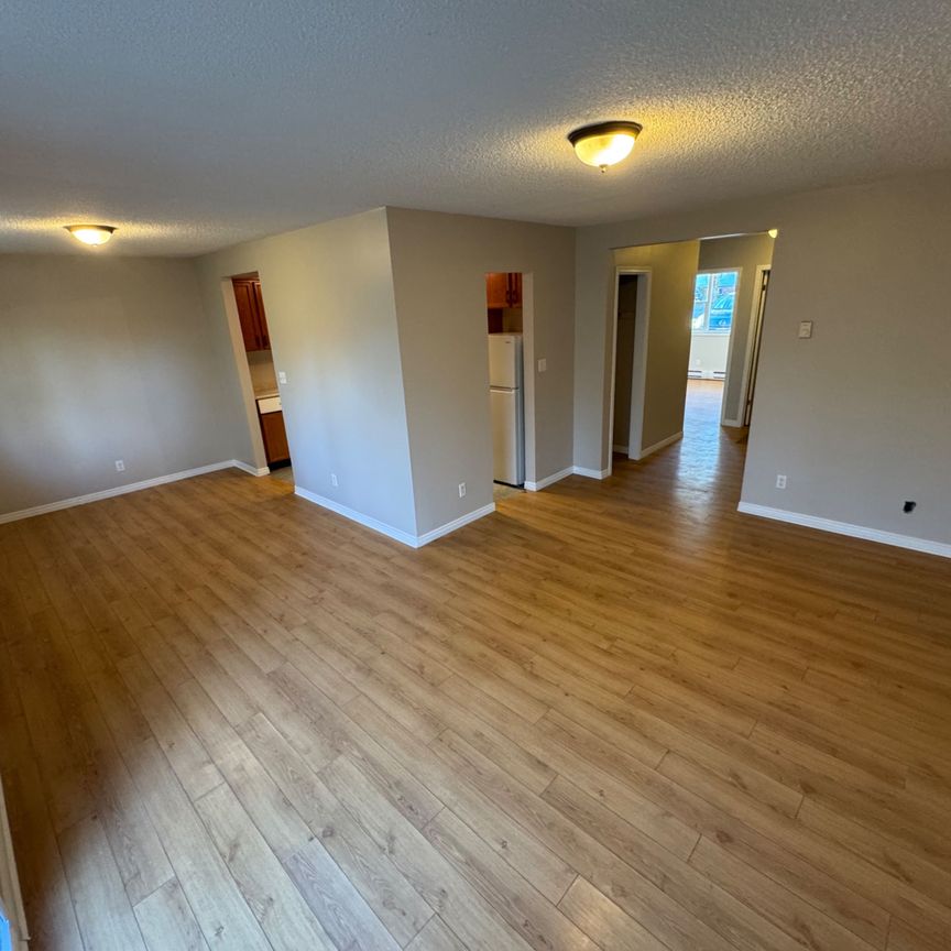 For Lease - 213 Sarah Court, Shelburne, Ontario - Photo 1