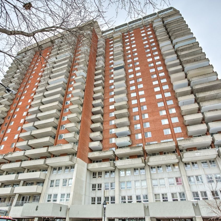 Condo for rent, Montréal (Le Plateau-Mont-Royal) - Photo 1