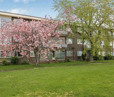 Broomley Court, Fawdon, Newcastle Upon Tyne, NE3 - Photo 3