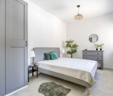 Wolne od zaraz, tak dla zwierząt, zupełnie nowe! - Zdjęcie 5