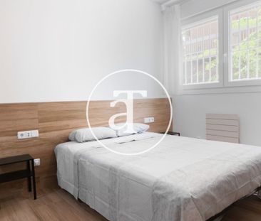 Monthly rental Studio with 1 bedroom, 1 bathroom in Latina - Photo 5