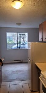 1 Bedroom Refreshed - Photo 4