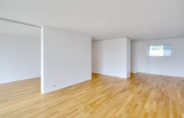 4.5 Zimmer, 100 m², 1. Stock - Photo 1
