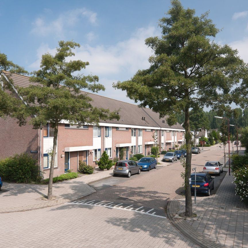 Ruime eengezinswoningen in Batau Noord, Nieuwegein - Foto 1