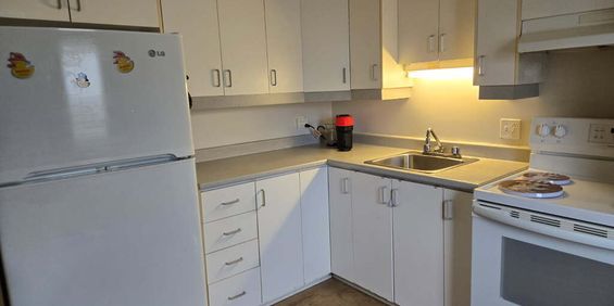 Spacieux Appartement 3 Chambres - Photo 3