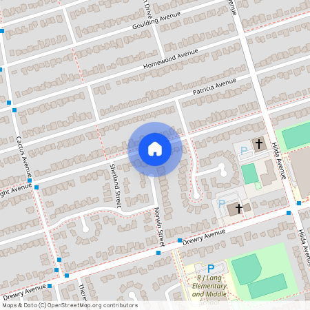 209 Connaught Avenue Unit# Basement, Toronto