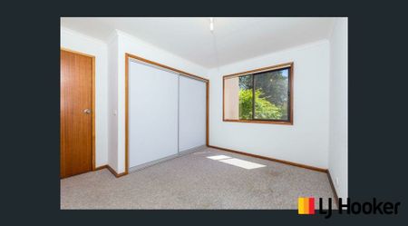 21 Palana Street, Surfside NSW - Photo 5