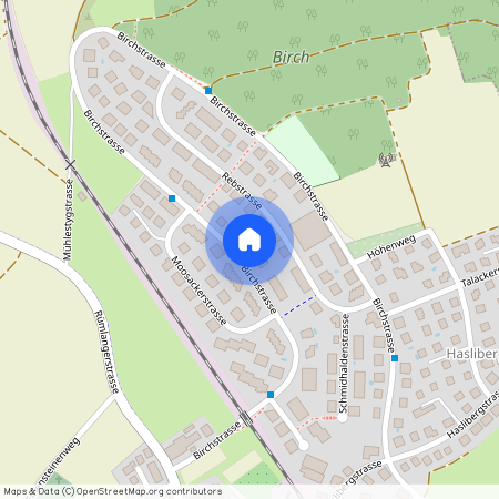 Birchstrasse 159, 8156 Oberhasli, Lageplan