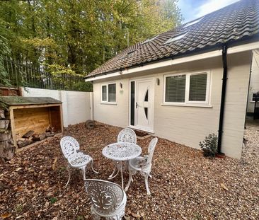 1 bedroom House To Let - Photo 3
