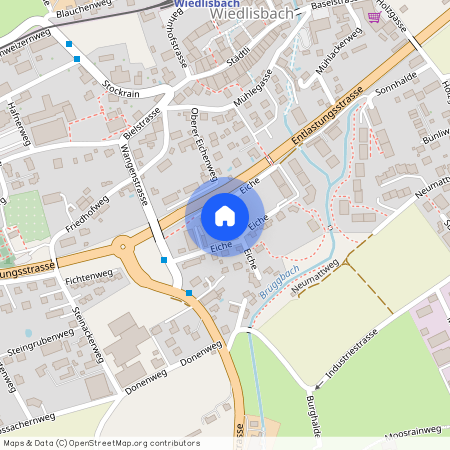 4537, Wiedlisbach, Eiche, 7