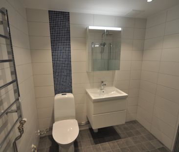 Dag Hammarskjölds väg, Lund - Photo 5