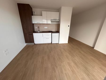 Location Appartement T1 - Gibauderie - Photo 4