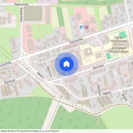 ul. Górnicza, Wola, Miedźna, pszczyński, śląskie