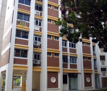 Blk 223 Choa Chu Kang Central (Choa Chu Kang), HDB 4 Rooms - For Rent - Photo 3