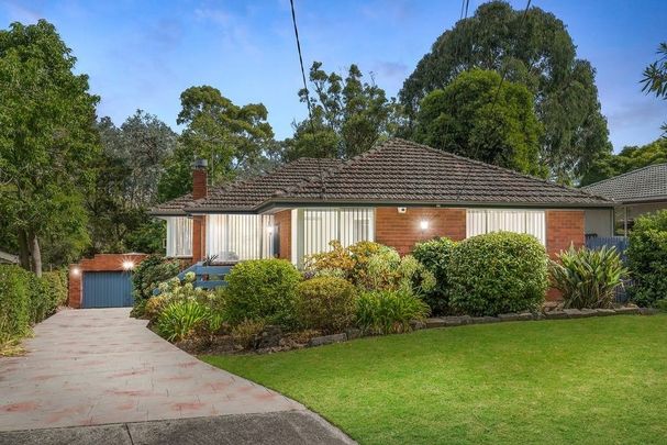 3 Lansell Close, Ringwood North - Photo 1