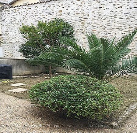 Appartement 3 pièces à louer - Photo 2