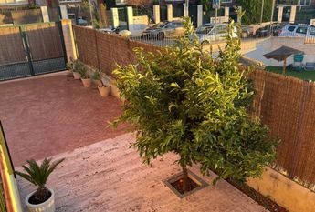 Terraced house - Molina de Segura (Altorreal)