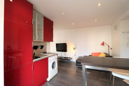 Location Appartement 1 pièce 28m² GRENOBLE 38000 - Photo 3