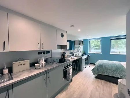 Deluxe Studio - Photo 4