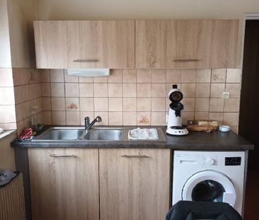 Location appartement 1 pièce 30.64 m² à Ottmarsheim (68490) - Photo 3