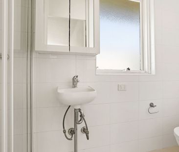 11/20 Alexandra Road, Glebe NSW 2037 - Studio For Rent | Domain - Photo 1