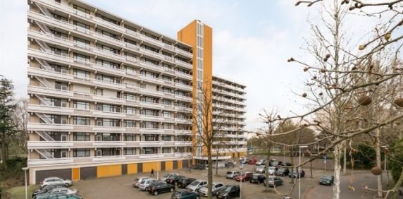 De Koppele 0ong, 5632 Eindhoven, Nederland - Foto 2