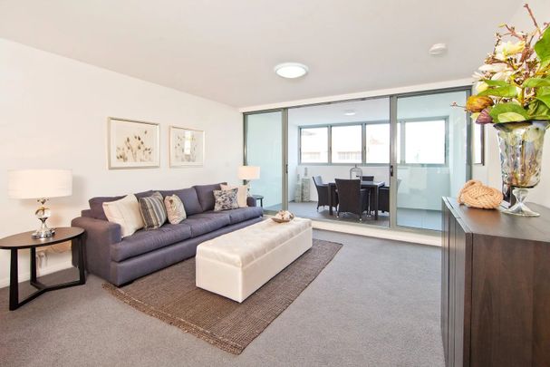 102/517 Pittwater Road, Brookvale NSW 2100 - Apartment For Rent | Domain - Photo 1