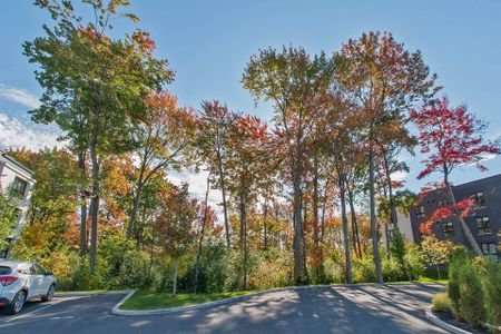 Condo for rent, Mascouche - Photo 3