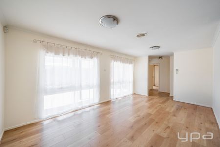 Something Special! - Photo 2