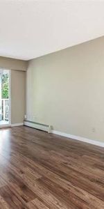 Spacious 2 Bedroom Top Floor Corner Condo with own Parking - Photo 3