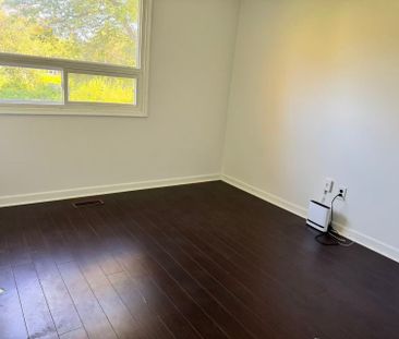 For Lease - 172 Felix Road, Richmond Hill, Ontario - Photo 3