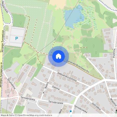 ul. gen. Bolesława Roi, Wola Duchacka, Podgórze Duchackie, Kraków, małopolskie