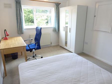 North Park Avenue, Norwich - Photo 5