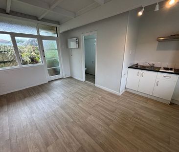 Completely refurbished studio unit - Photo 2
