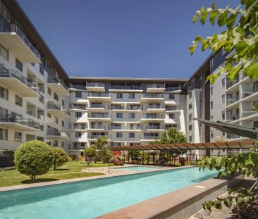 The Avenue - Photo 6